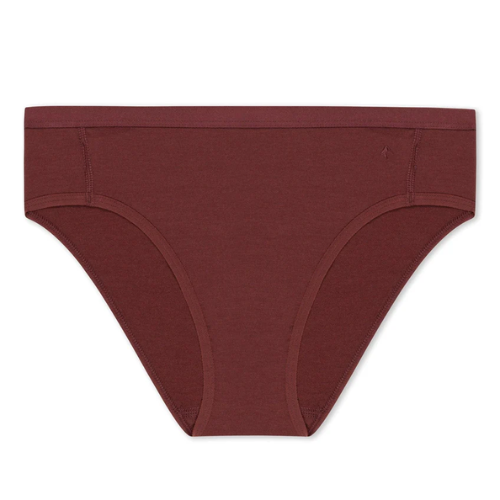 Women's Ridge Hipster Brief by Ridge Merino