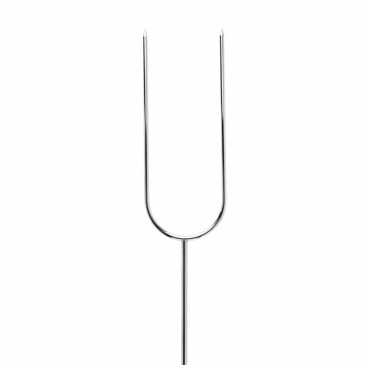 Coghlan's Camp Fork