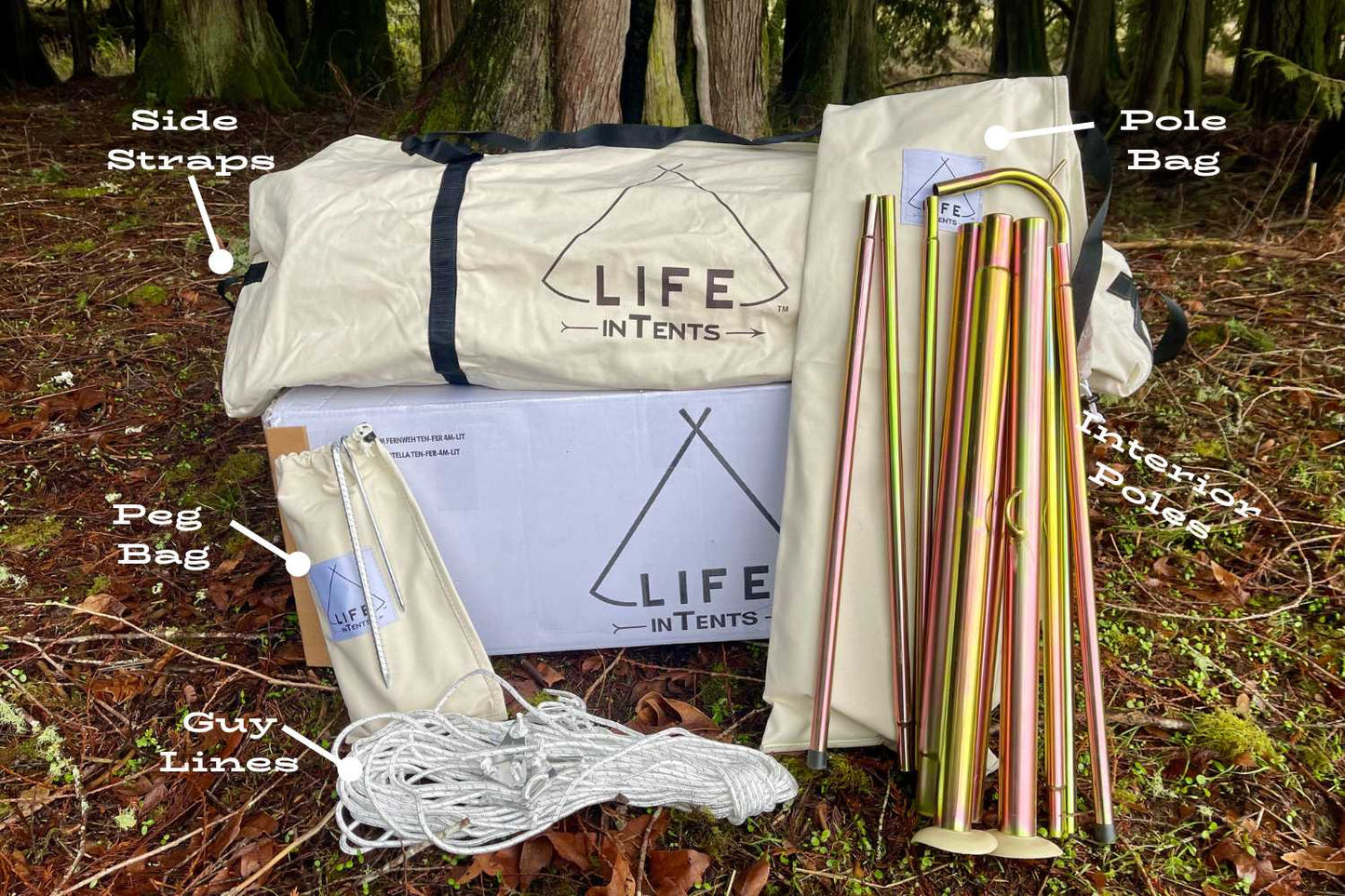 Life inTents 13' (4M) Stella Stargazing Canvas Tent