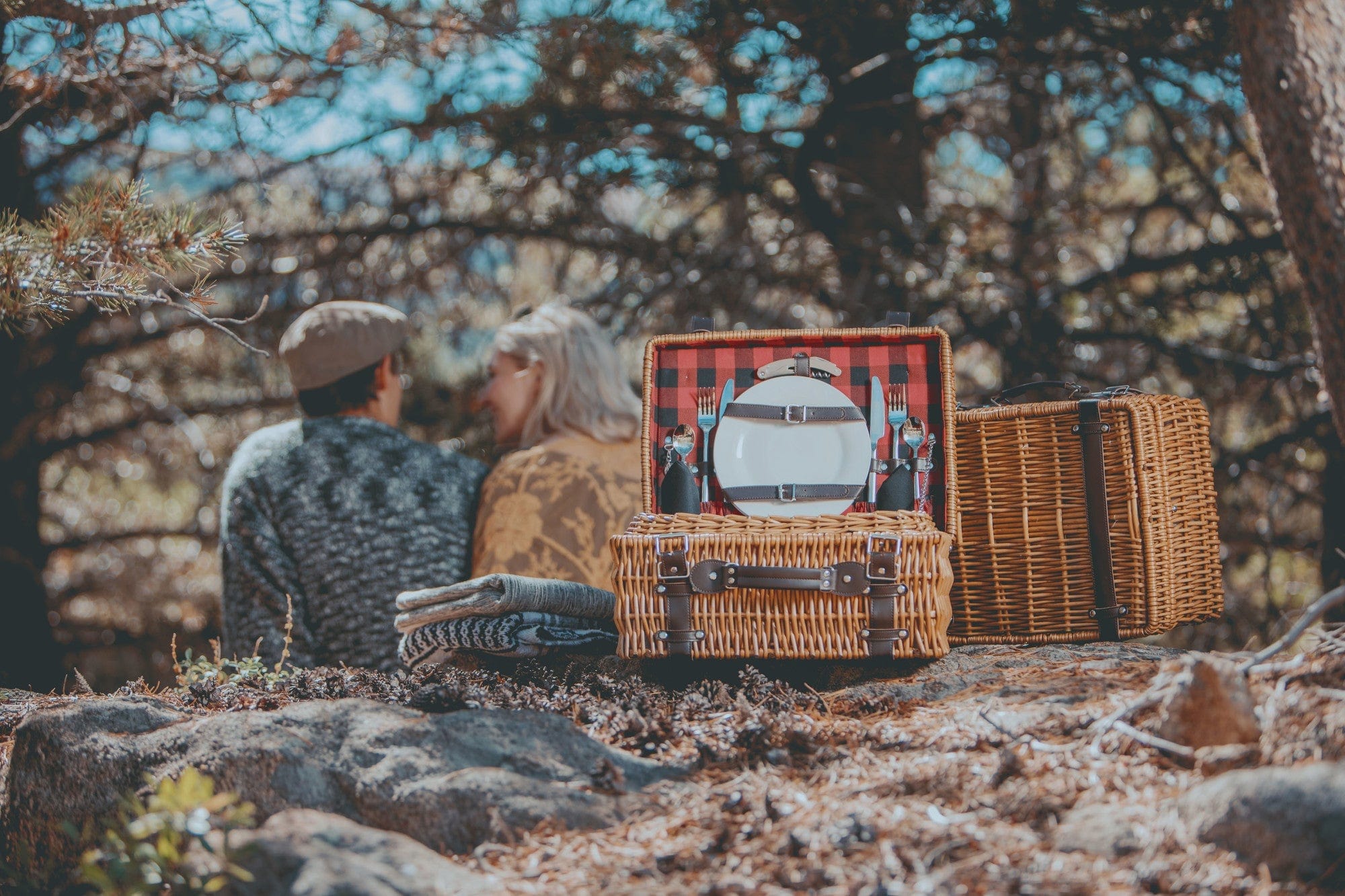 Champion Picnic Basket by Picnic Time Family of Brands
