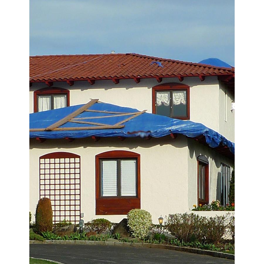 Kotap All Weather All Purpose Blue Poly Tarps